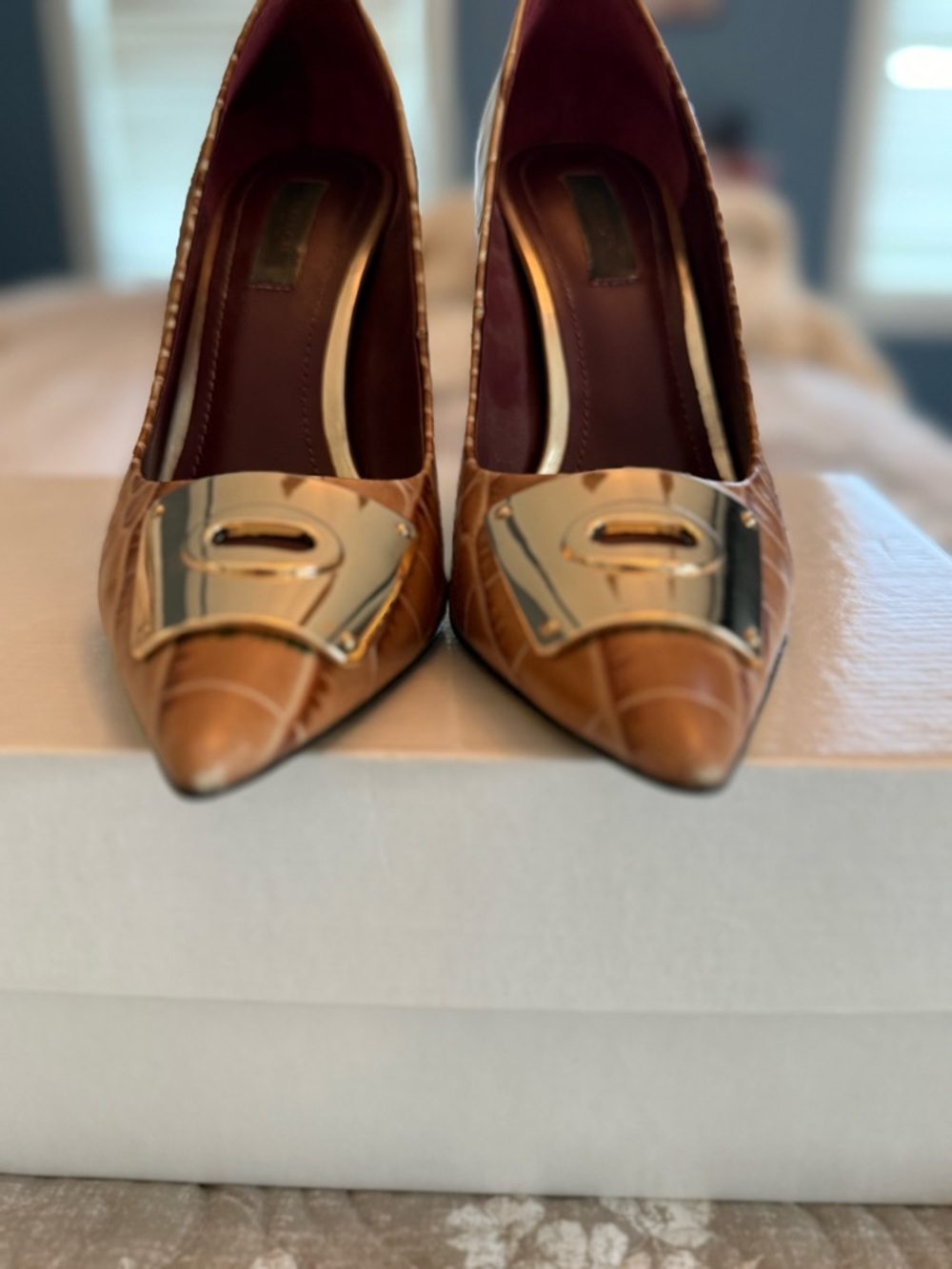 Coach Brown Croc-Embossed Pointed Toe Pumps with Gold Plate - Picture 5 of 12